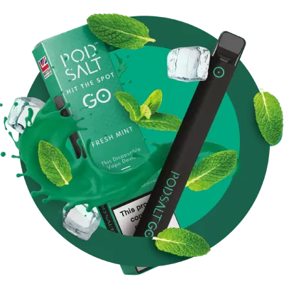 POD SALT GO 2500 PUFFS